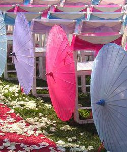 parasols